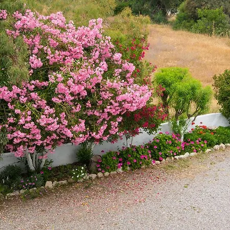 Διαμέρισμα Rodia